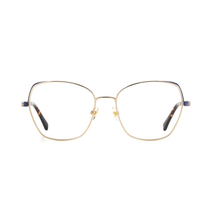 Perceptive Panes